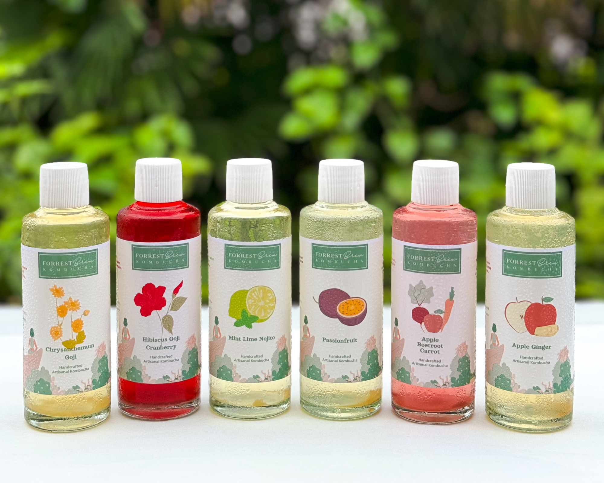 Kombucha Gift Set with mini bottles for tasting