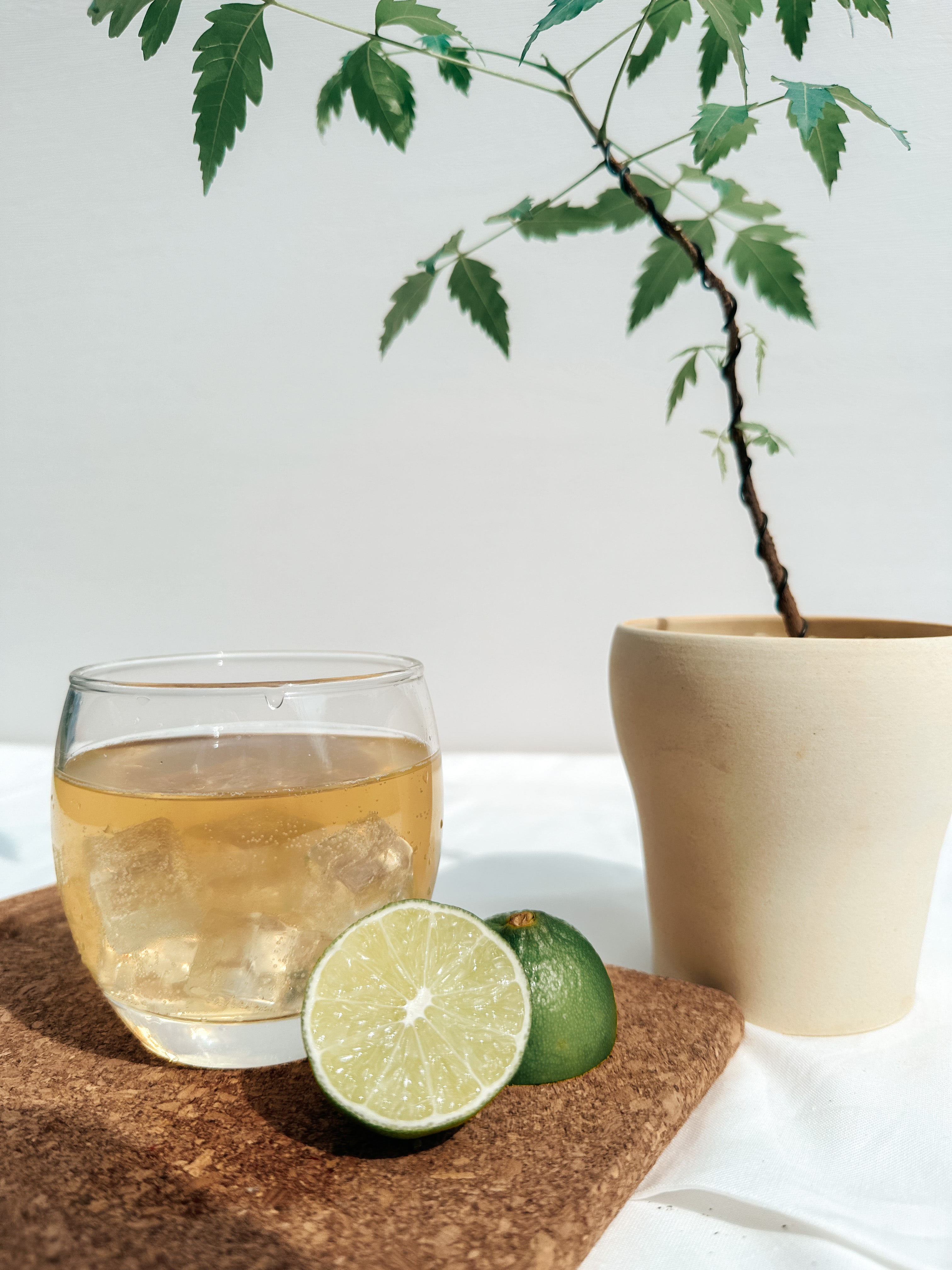 Refreshing glass of mint lime kombucha in singapore