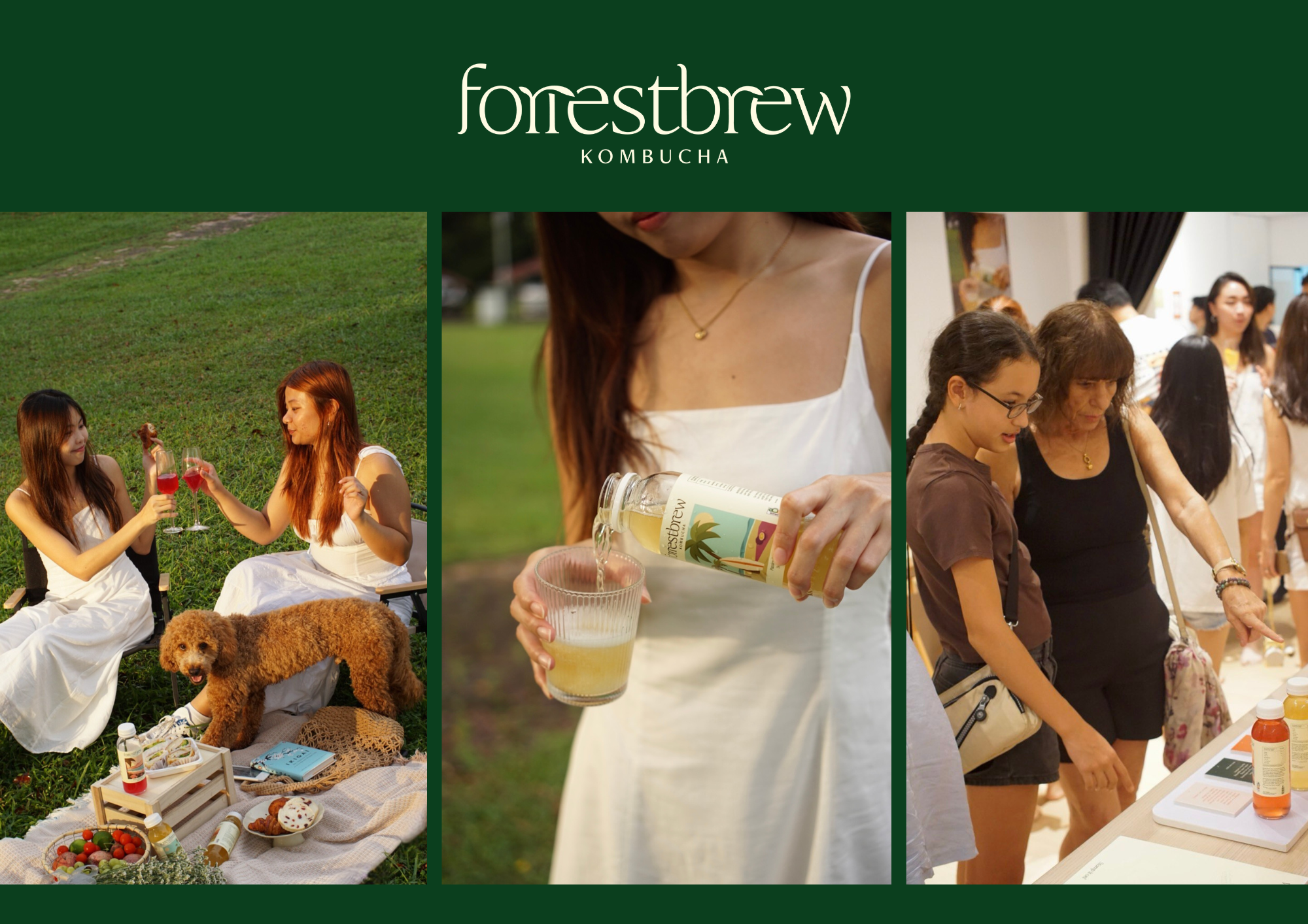 ForrestBrew Kombucha Unveils Vibrant Rebrand to Celebrate 4th Anniversary