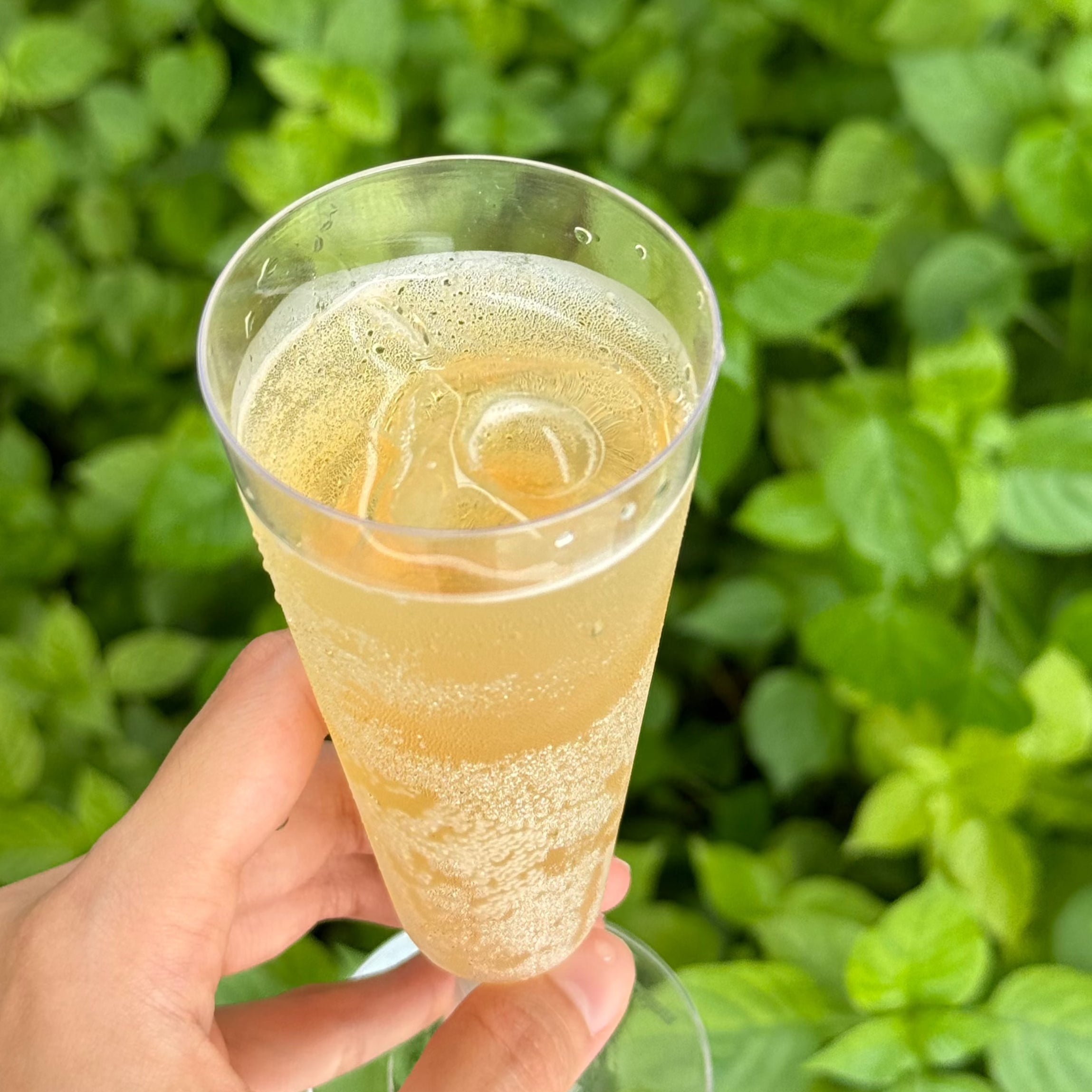 Refreshing glass of kombucha