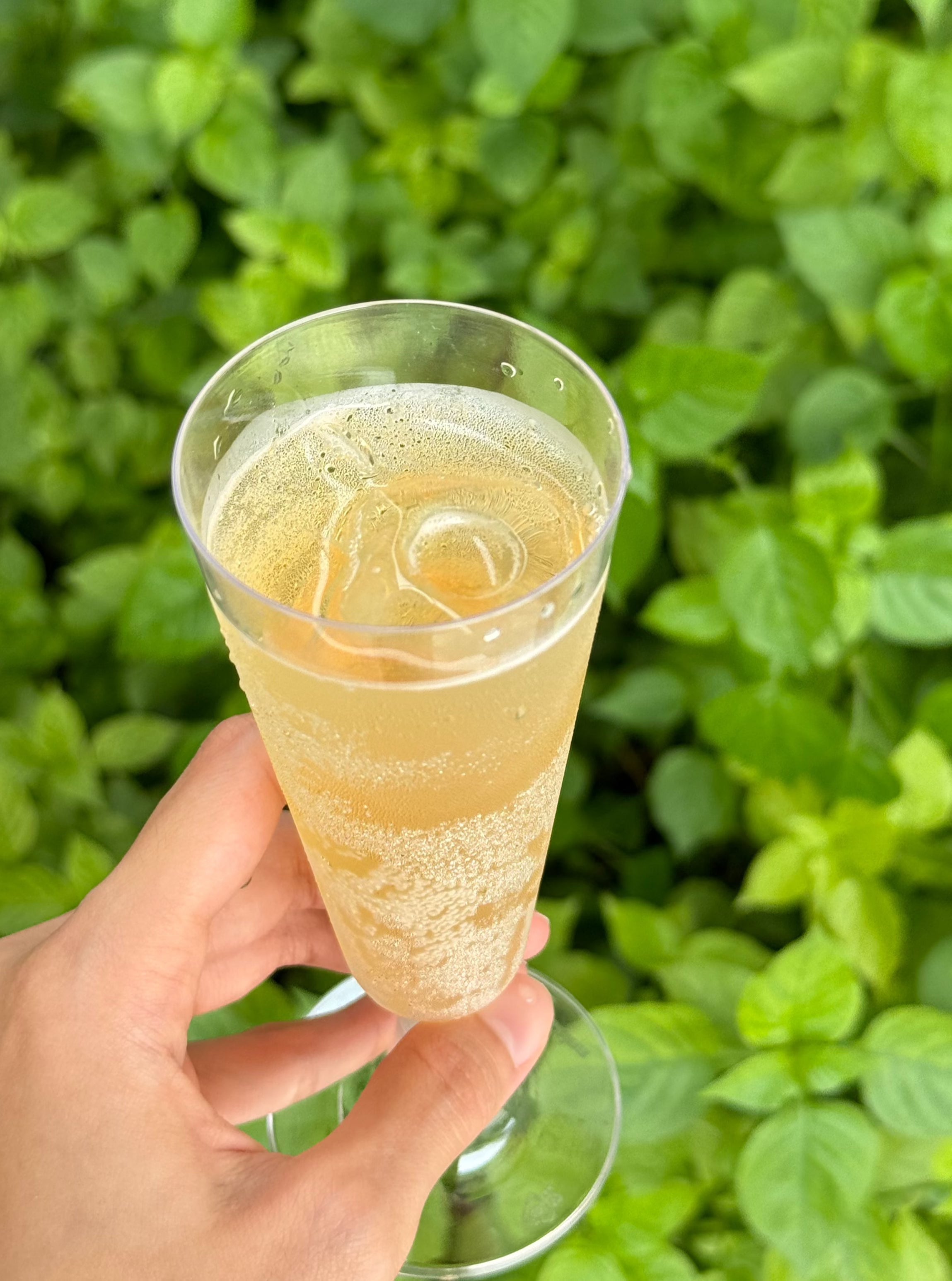 Refreshing glass of kombucha