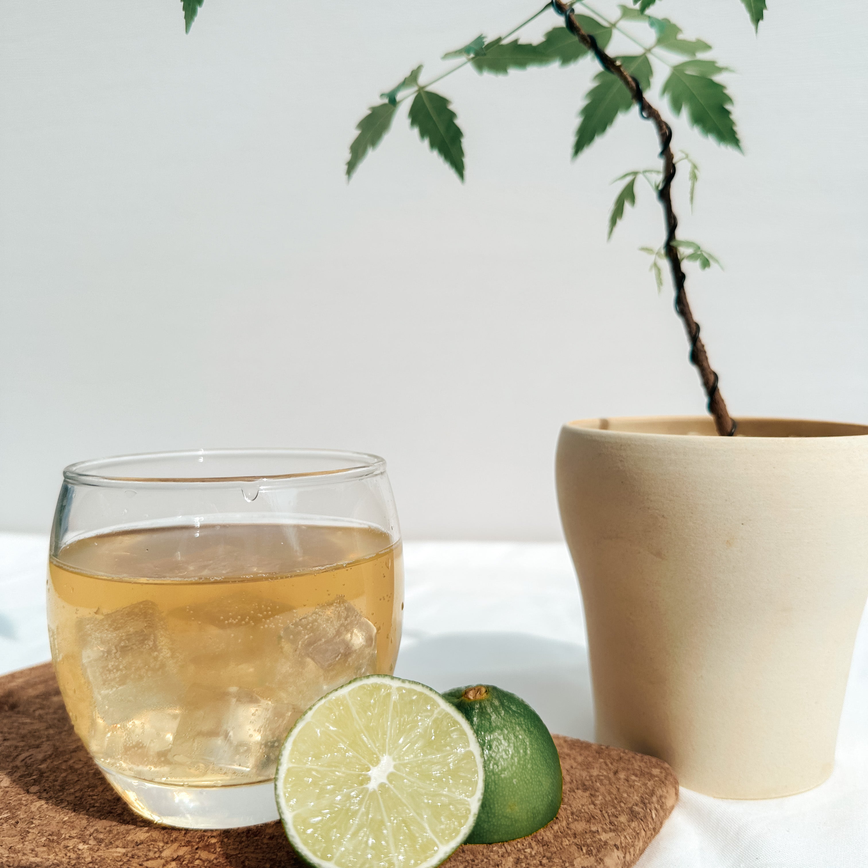 Refreshing glass of mint lime kombucha in singapore 